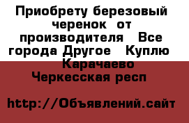 Приобрету березовый черенок  от производителя - Все города Другое » Куплю   . Карачаево-Черкесская респ.
